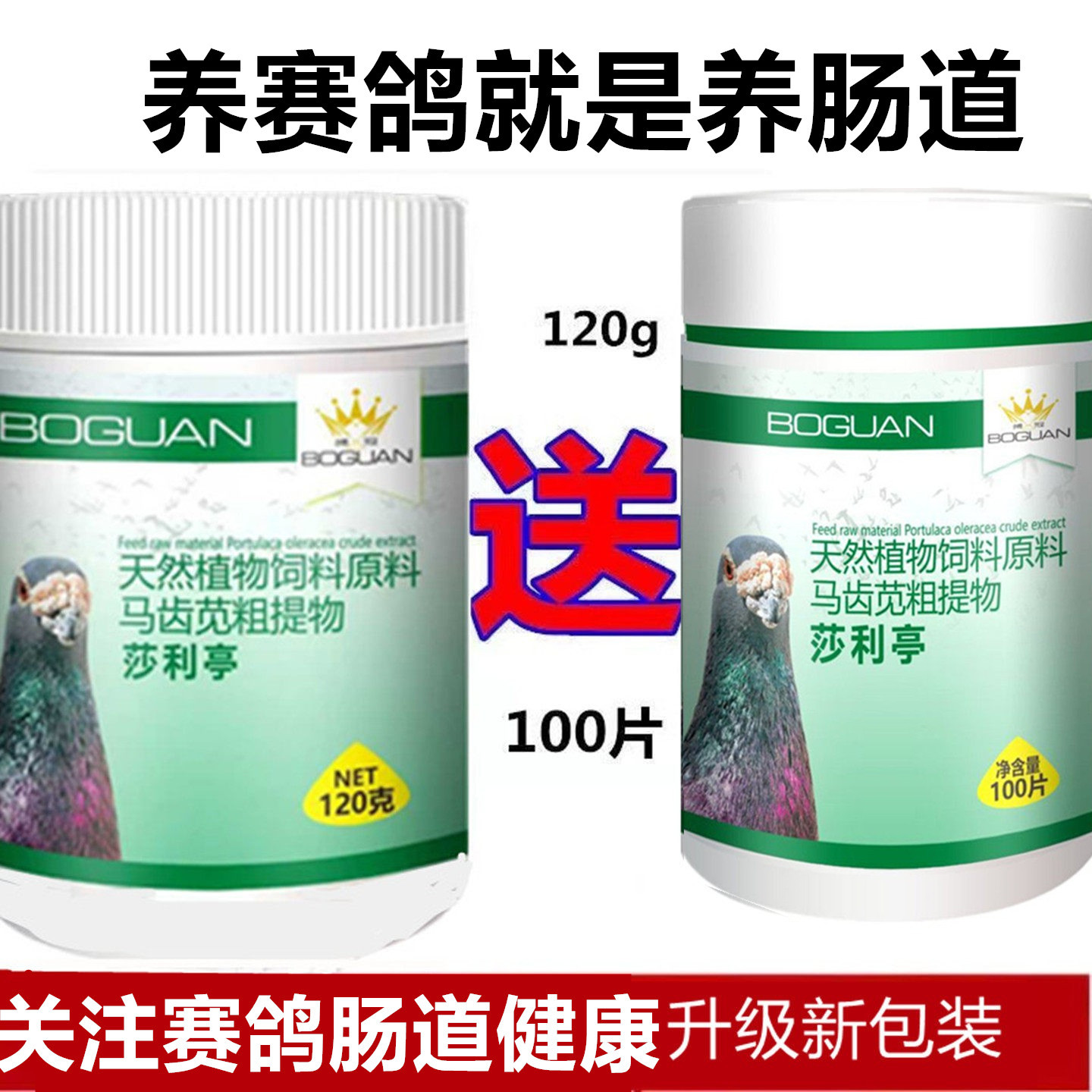 搏冠伤寒停沙门氏非鸽药鸽子药