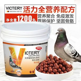 汉诺威鸽药鸽力旺幼鸽丸育雏宝种鸽砂皮蛋育雏丸种鸽营养软壳蛋