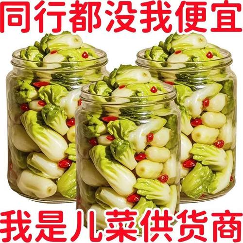 新鲜儿菜娃娃菜四川泡菜大头菜农家传统老坛腌制爽口下饭菜抱儿菜