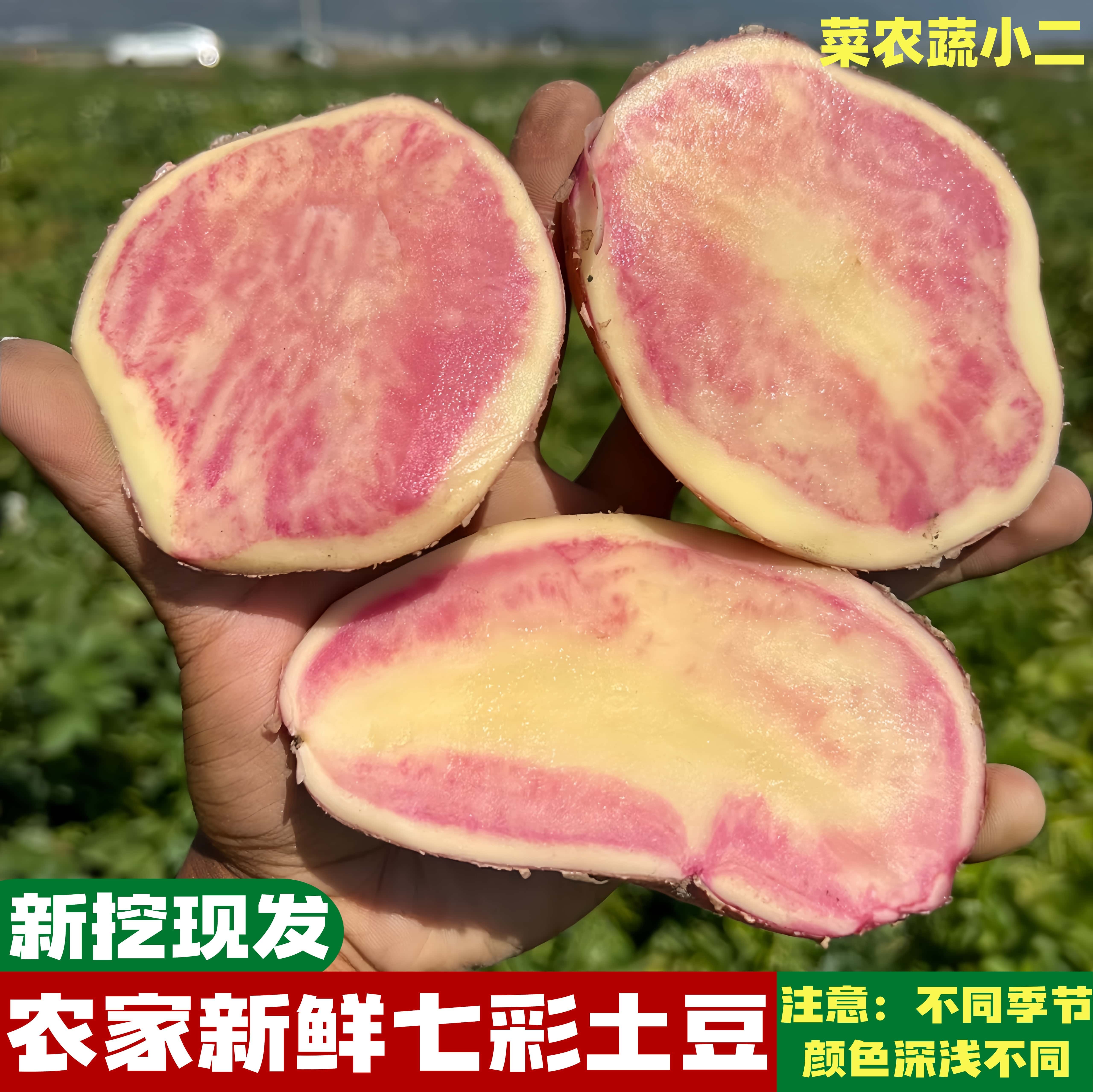 云南七彩土豆新鲜马铃薯新挖现发