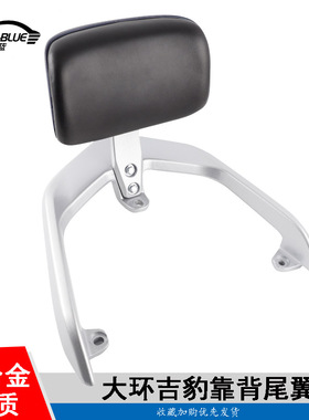 适用于电动车爱玛探途F551金箭T170后靠背尾架台铃凯鹰劲锐货架