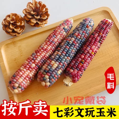 冰透文玩小玉米网红小众手把件