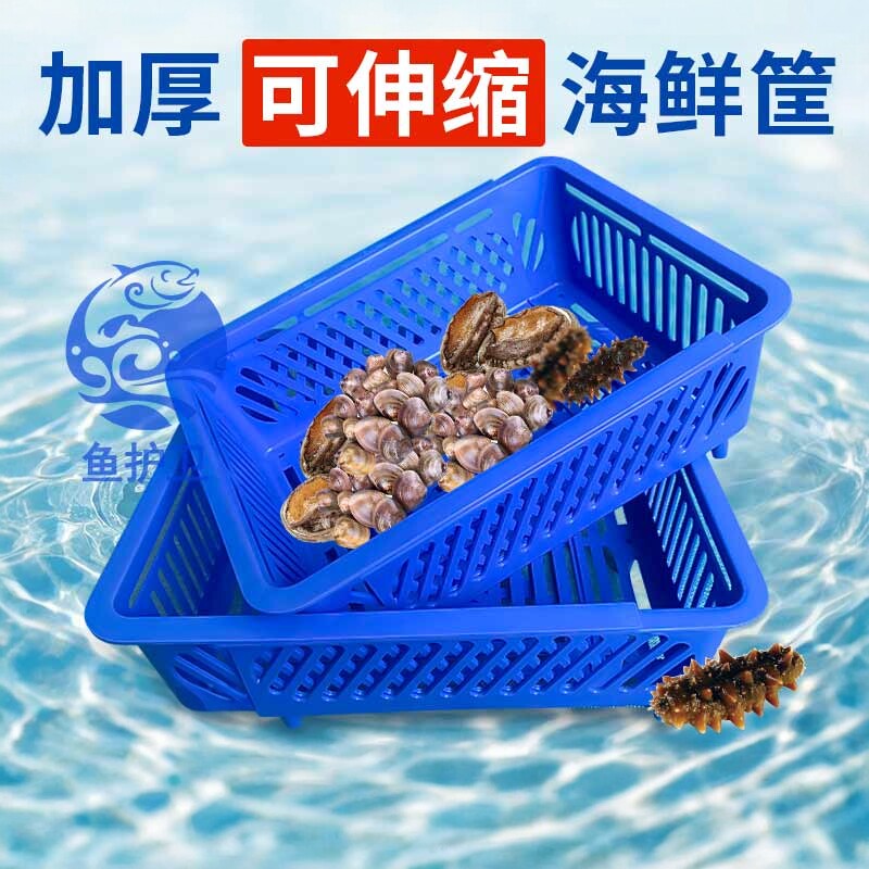 新款可伸缩海鲜筐花甲盒花蛤贝壳类吐沙带脚透水篮塑料筐酒店市场