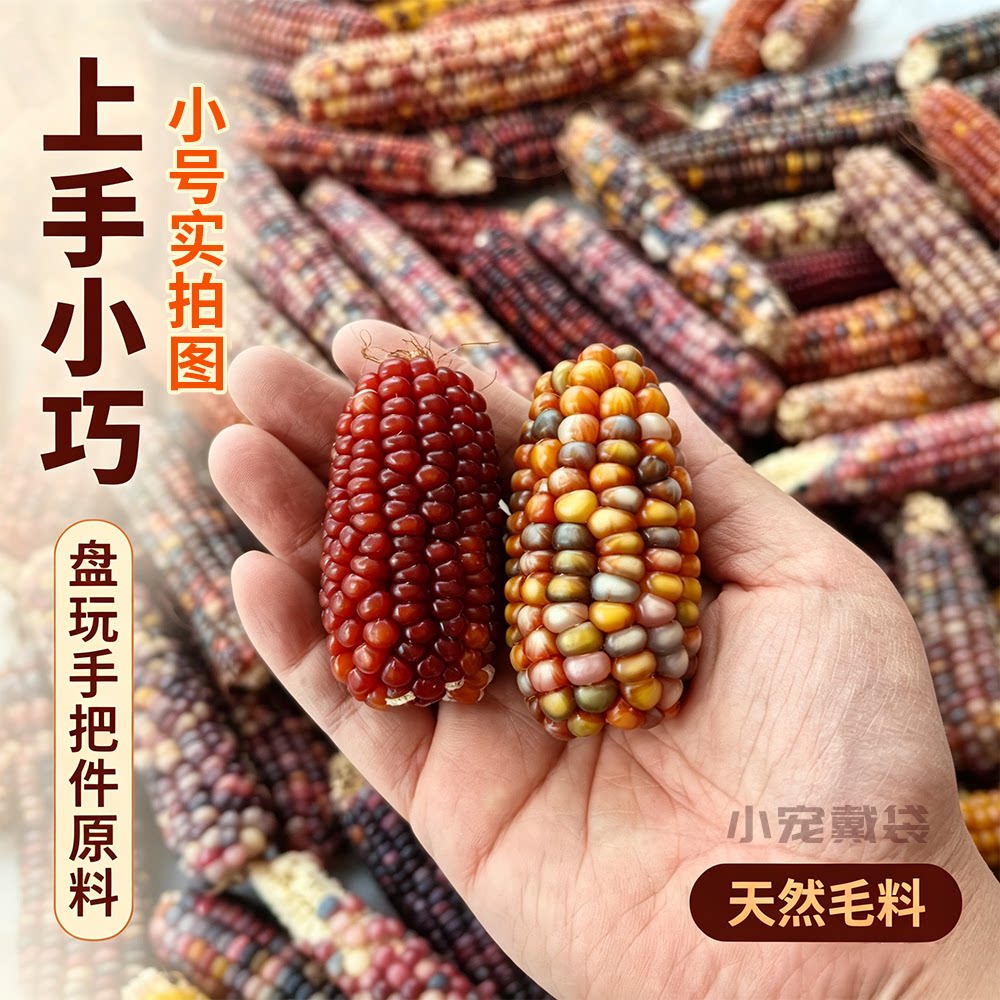 文玩玉米毛料七彩玉米网红手把件
