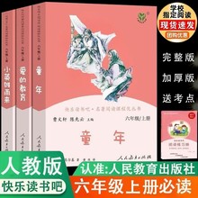 六年级上册快乐读书吧必读课外书人教版童年爱的教育小英雄雨来六年级下册汤姆索亚历险记尼尔斯骑鹅旅行记鲁宾逊漂流记爱丽丝漫游