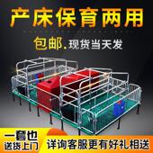 母猪产床猪用产床产保一体产床保育两用养猪设备限位栏母猪定位栏