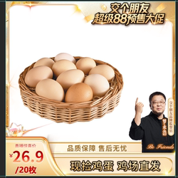 【官方甄选】农家土鸡蛋新鲜20枚
