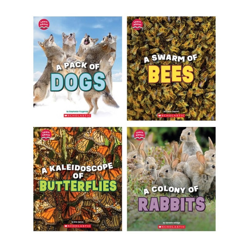 【新书到货】学乐有趣的群居动物科普4册Animals Learn About Animals 英文原版了解科普知识适合4-8岁小学生科普课外书英语