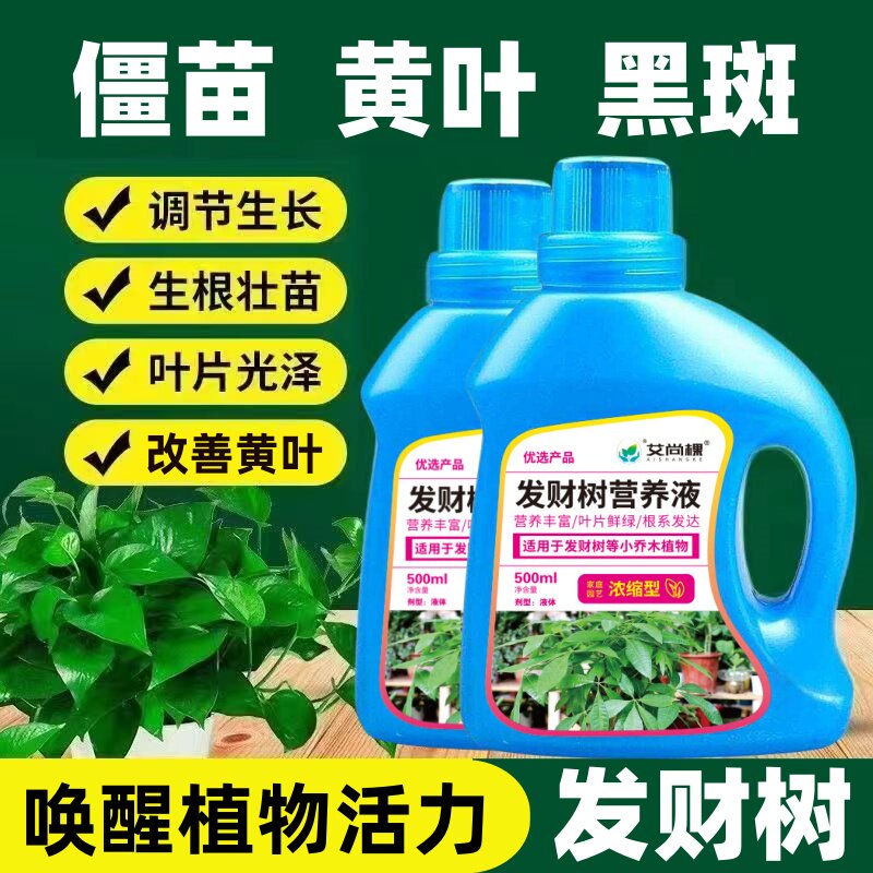发财树专用营养液黄叶急救植物通