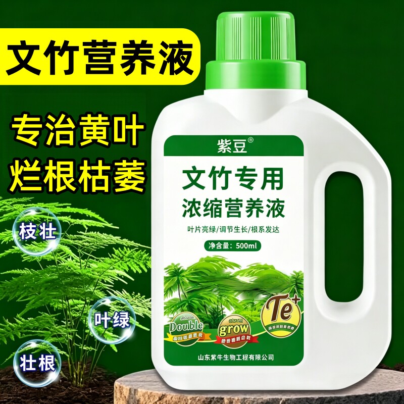 文竹专用浓缩营养液植物肥料绿植