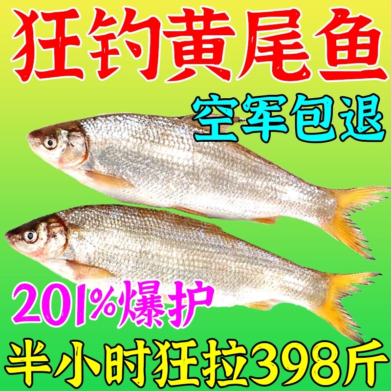 黄尾狂咬钩】黄尾专用饵料野钓专