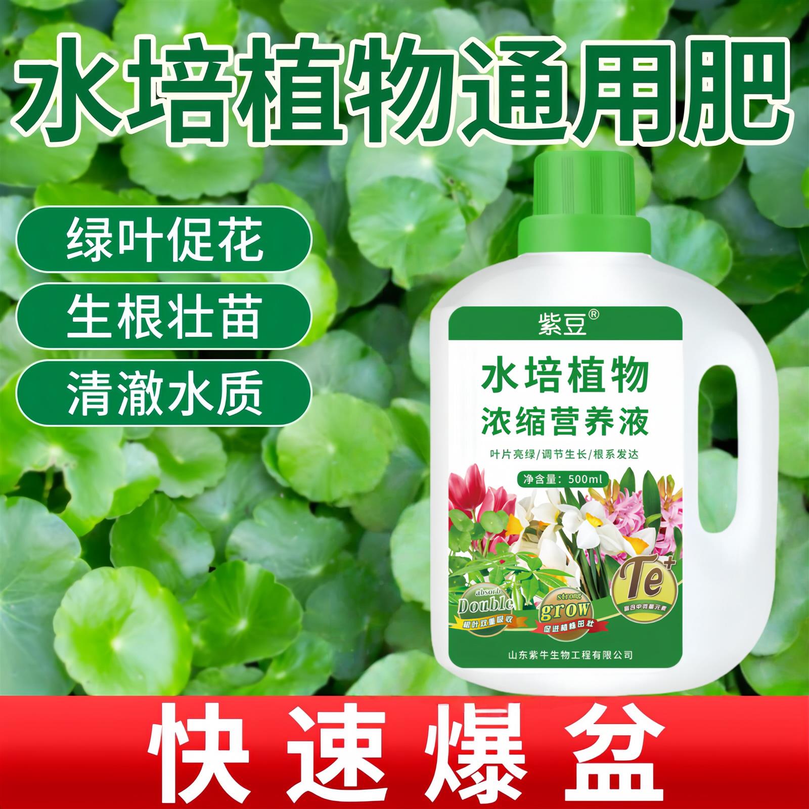 水培植物专用营养液家用植物通用