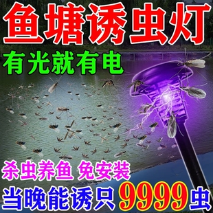鱼塘太阳能诱虫灯喂鱼神器强力引诱昆虫紫光灯灭飞虫户外养殖专用