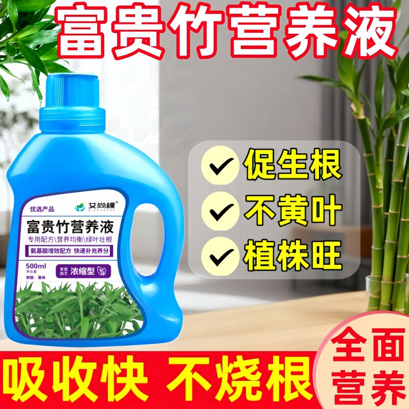 富贵竹专用营养液防叶子发黄落叶