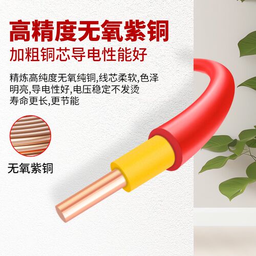 南洋电线BVV 1.5 2.5 4 6平方铜芯国标阻燃家用户外双皮单股硬线