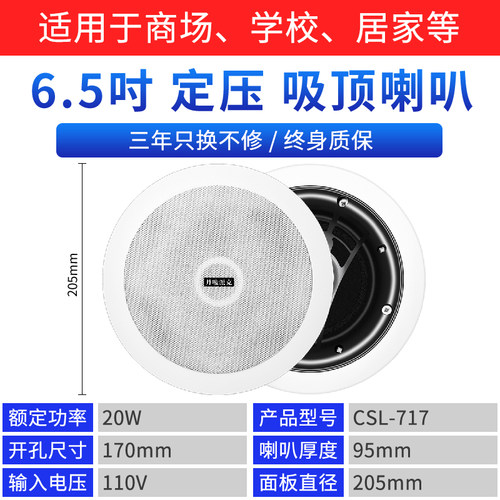 同轴吸顶喇叭天花吊顶音箱店铺商场扬声器家庭音响背景音乐喇叭