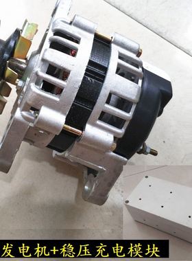 2000瓦12V24V14V28V36V48V60V72V伏纯铜线大功率永磁直流发电机