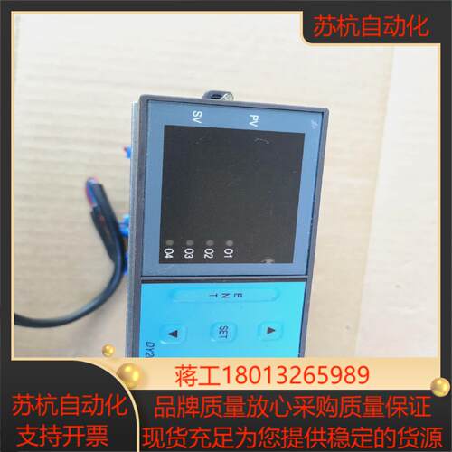 大延 DY2000 温控仪表，功能好的。现货