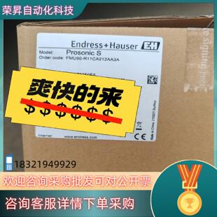 现货恩德豪斯FMU99 R11CA212AA3A