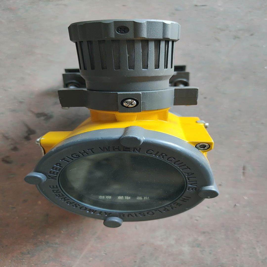 （设备配件）深圳特安气体探测仪ES2000T