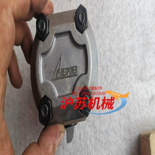 REXPOWER锐力液压齿轮泵 RGP-F202R-12