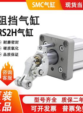 气缸RS2H50/63/80-30BM-D-40DL-BL-DM-TL-TM-DC/RS2H80-40TM-D