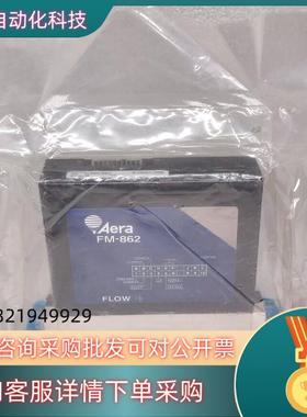 现货Aera 气体质量计TC FM-862-6B1 N2 6