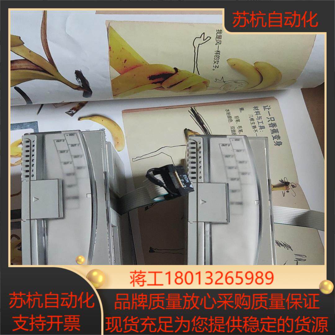 罗克韦尔1762-OB8有4个