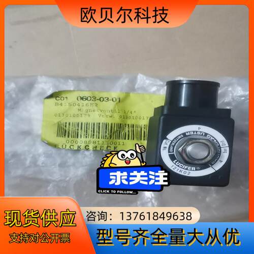 原装LUCIFER电磁阀481865C2 F DZ02C