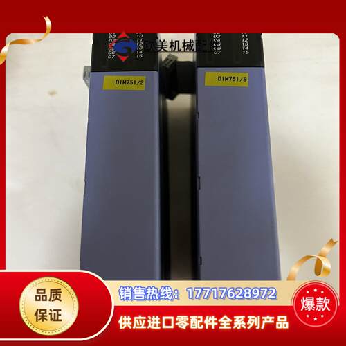 Selectron模拟量输入DIM751议价
