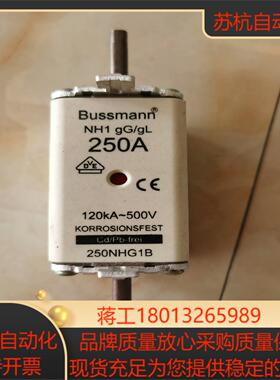 NH1 250A 500V   250NHG1B 原装正品议价