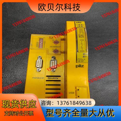 皮尔磁312025 PSSuHSNDP，成色八九成新 850