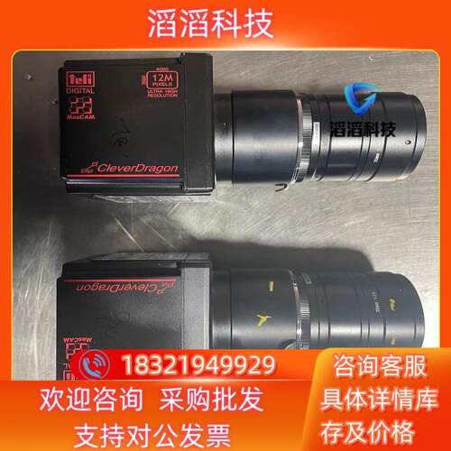 现货teli 原装CSC12M25BMP19工业相机U-TR