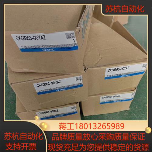 SMC气缸CKP1B63-100YAZ200/个