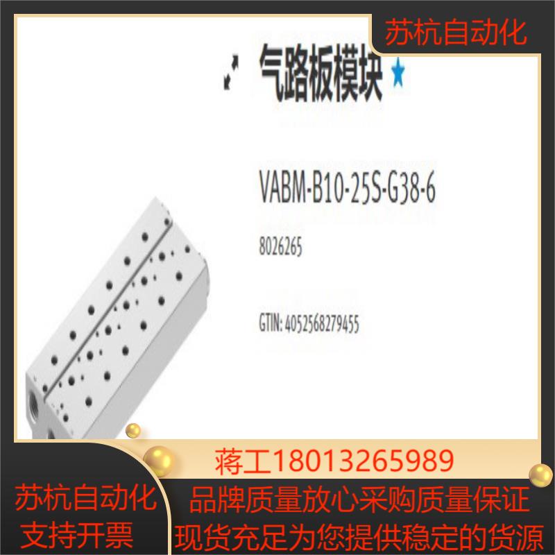 8026265   VABM-B10-25S-G38-6费斯议价图片