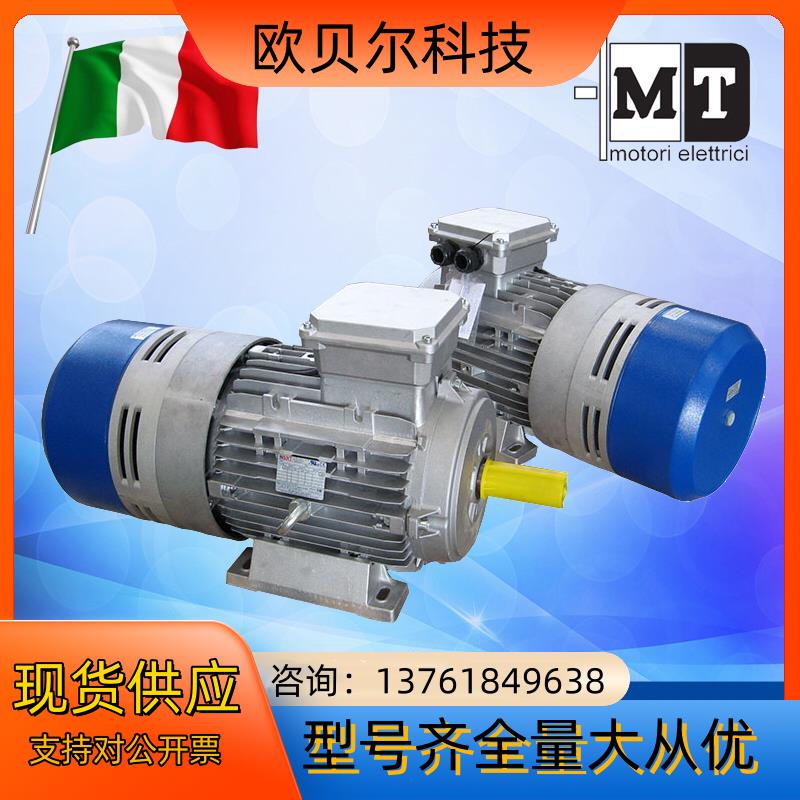 意大利MT刹车电机TN56B4 009KW-TN160L4