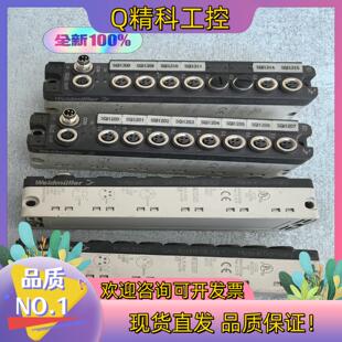 现货魏德米勒SAI AUM8SB8DI订货号1938600000