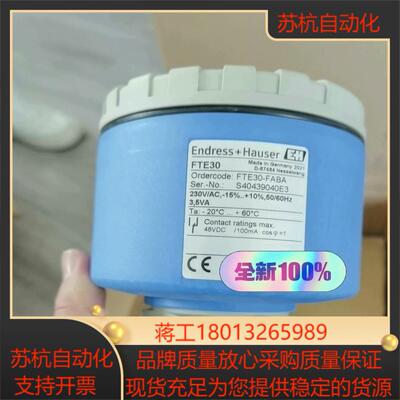 阻旋物位料位计FTE30-FABA恩德斯豪斯现货全新原装正品