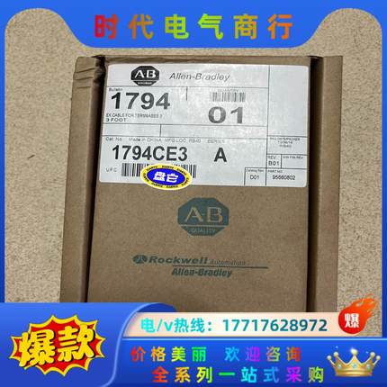 罗克韦尔1794-CE3全新的，2个。议价