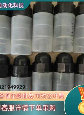 R900424288 DBDS30K1X/315