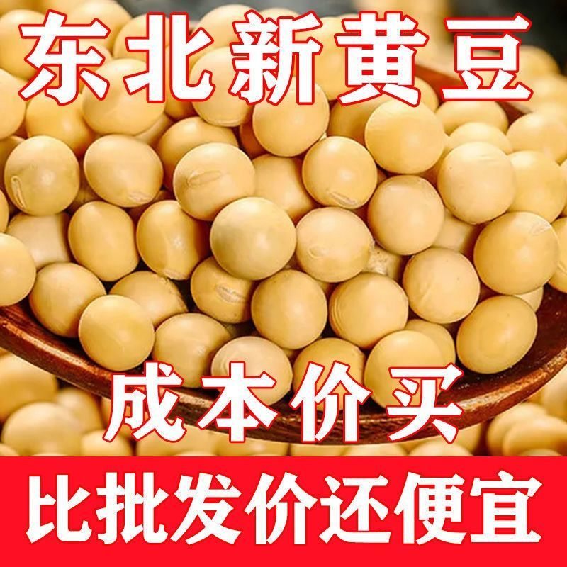 10斤装东北黄豆豆浆发芽专用做豆腐非转基因农家笨黄豆3斤