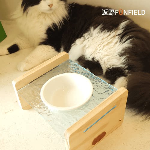 实木宠物波纹绿色护颈猫碗返野