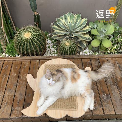 返野猫抓板实木可爱搞怪万圣节