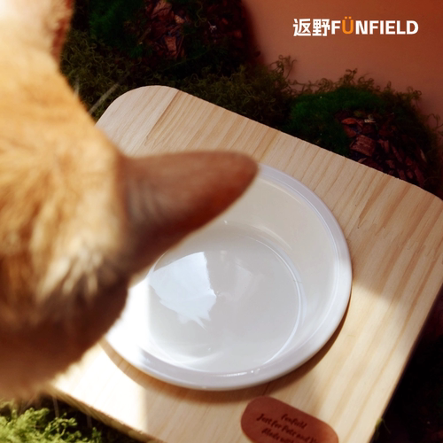 返野funfield实木倾斜猫狗宠物碗健康环保防打翻护颈防黑下巴陶瓷