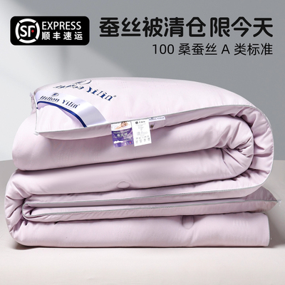 桑蚕丝加厚冬被全棉空调被