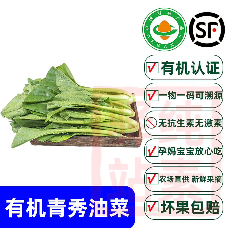 有机青秀油菜 小油菜时令新鲜蔬菜配送叶菜小青菜健康无农残
