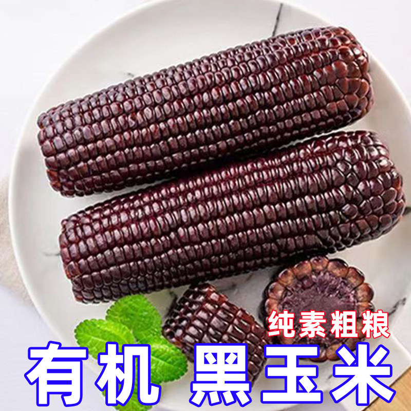 纯素食忻小农有机黑玉米香甜软糯山西黑甜玉米素粗杂粮下饭菜正耕