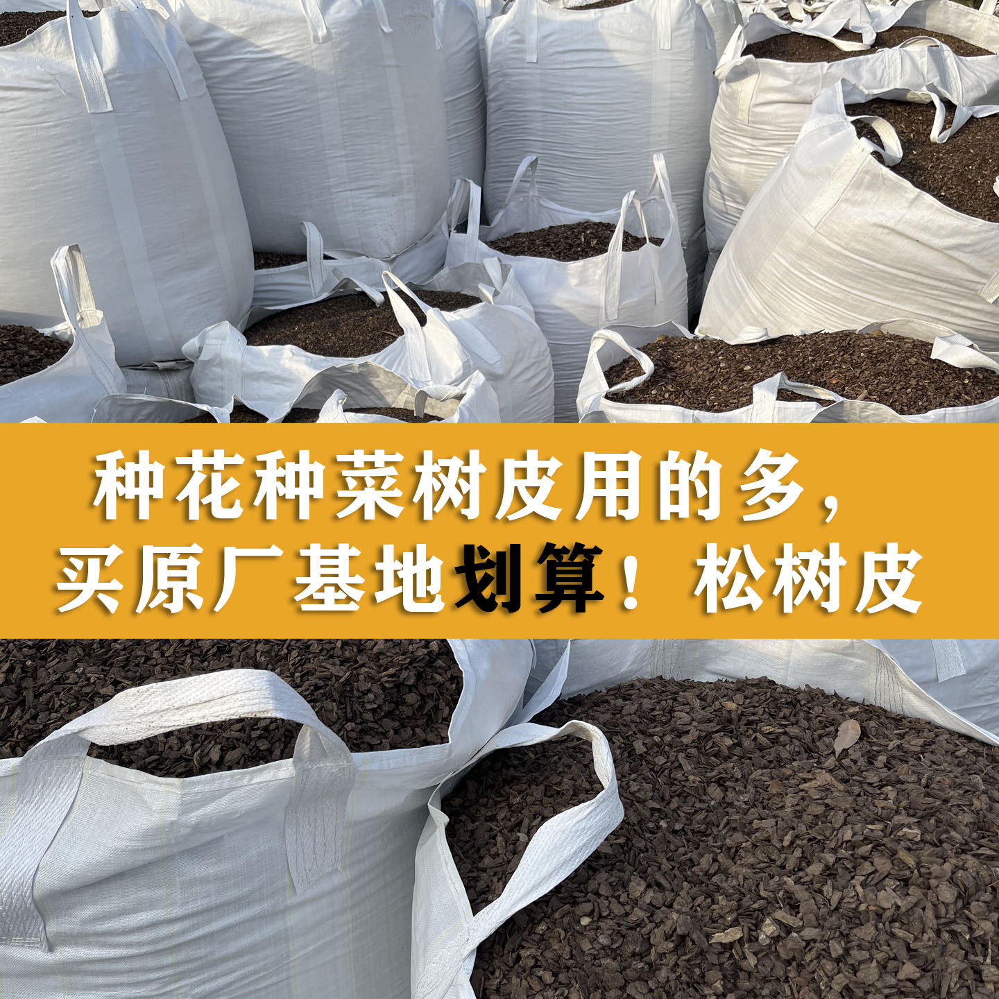 大份量松树皮块松鳞发酵腐熟