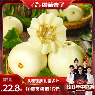 【香菇来了】陕西阎良甜瓜5斤新鲜水果白皮时令蜜瓜当季新鲜现摘