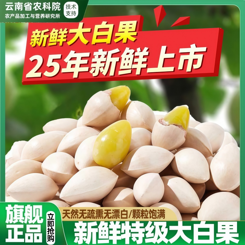 农科院特级白果旗舰店正品2025年新鲜大颗带壳银杏果无漂白干货
